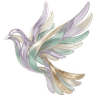 C-Everia